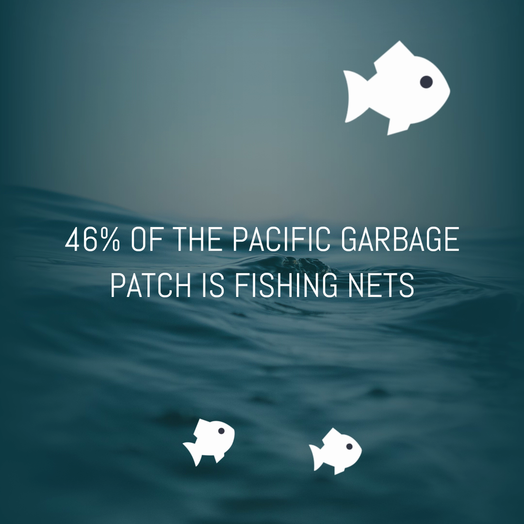 vlcsnap-2025-11-05-12h34m00s779